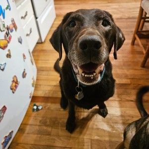 Meet your Posher, Anthony